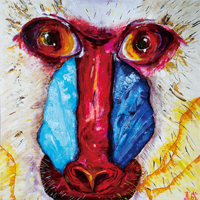 怒っているマンドリル 森林伐採で住む所を奪われたマンドリル。鼻の周りの鮮やかな色は、怒っている証拠です。