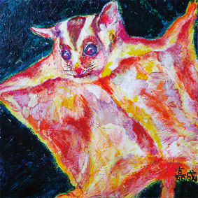 夜の森のフクロモモンガ 夜の熱帯雨林の中、一匹のモモンガがお腹いっぱいになってねぐらに帰ろうとしています。